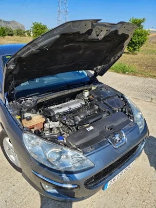 Peugeot 407 2.0 16v