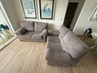 2 sofas grises de 2 plazas