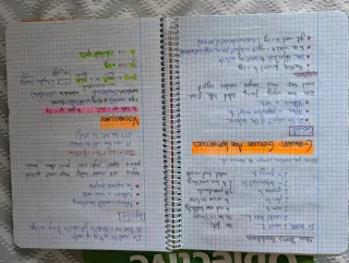 Libros y apuntes título B2 inglés (Objective First
