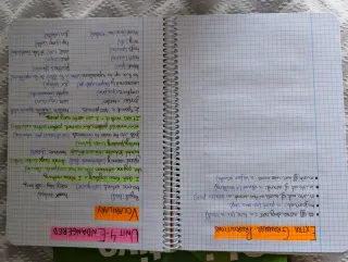 Libros y apuntes título B2 inglés (Objective First