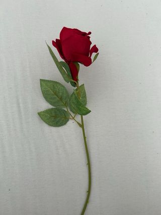 Disfraz La Bella y la Bestia Beige