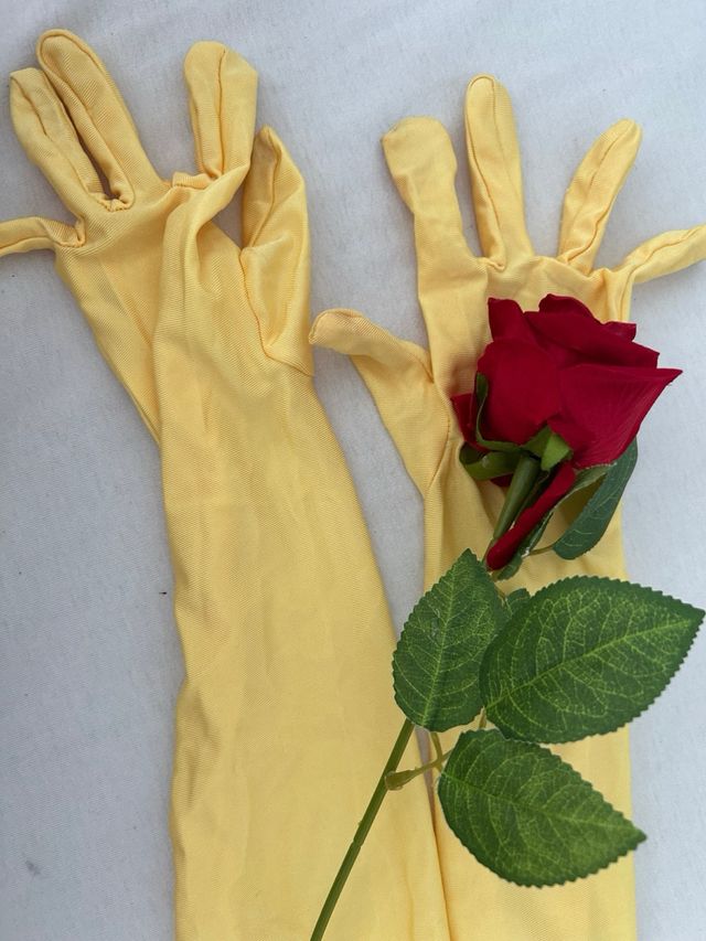 Disfraz La Bella y la Bestia Beige