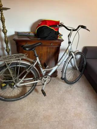 Bicicleta de paseo plateada