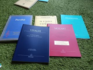 36 estudios o caprichos para violin de Fiorillo