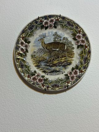 Set di 4 piatti decorativi da parete con animali