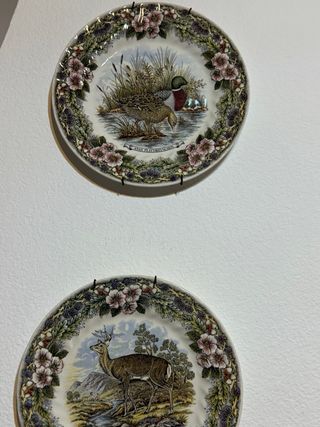 Set di 4 piatti decorativi da parete con animali