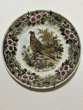 Set di 4 piatti decorativi da parete con animali