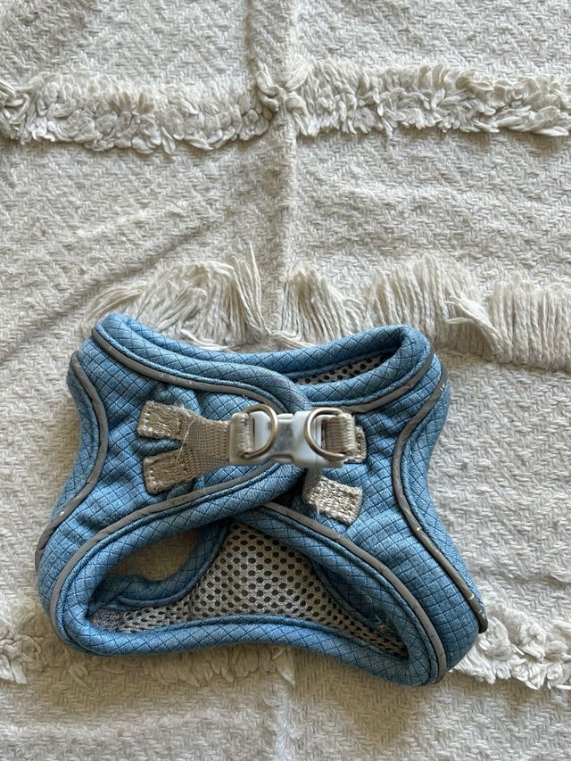 Arnés para perro FREEDOG azul