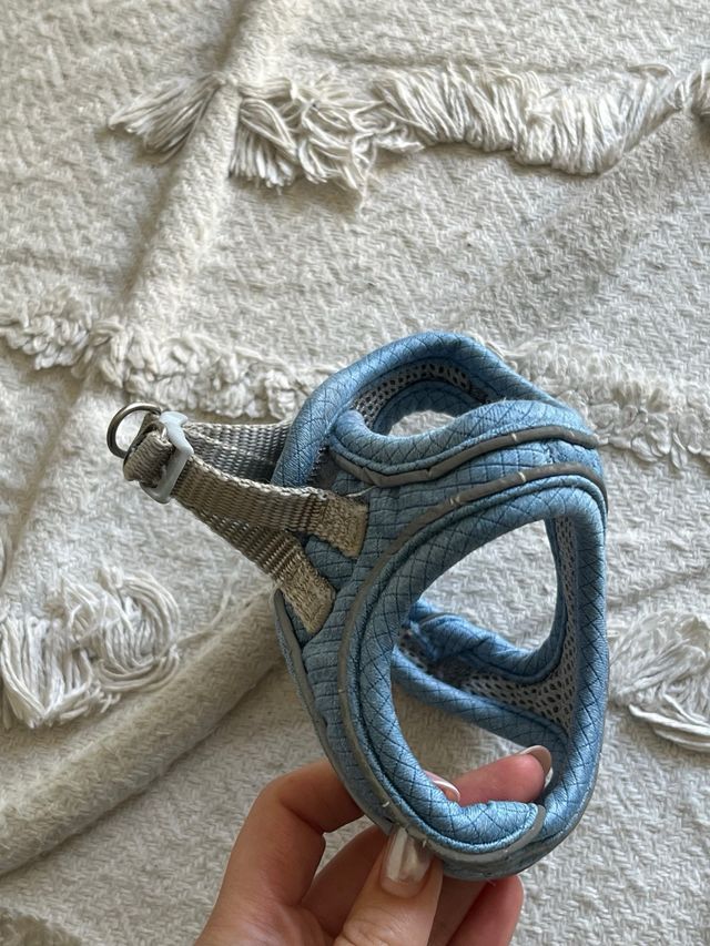 Arnés para perro FREEDOG azul