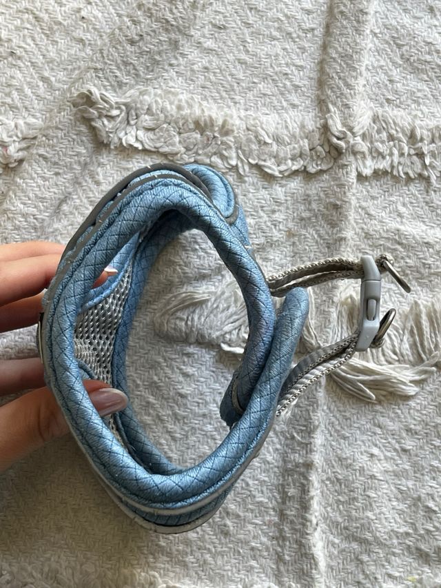 Arnés para perro FREEDOG azul