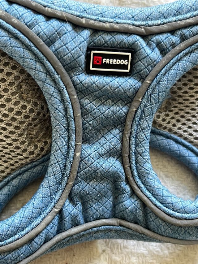 Arnés para perro FREEDOG azul