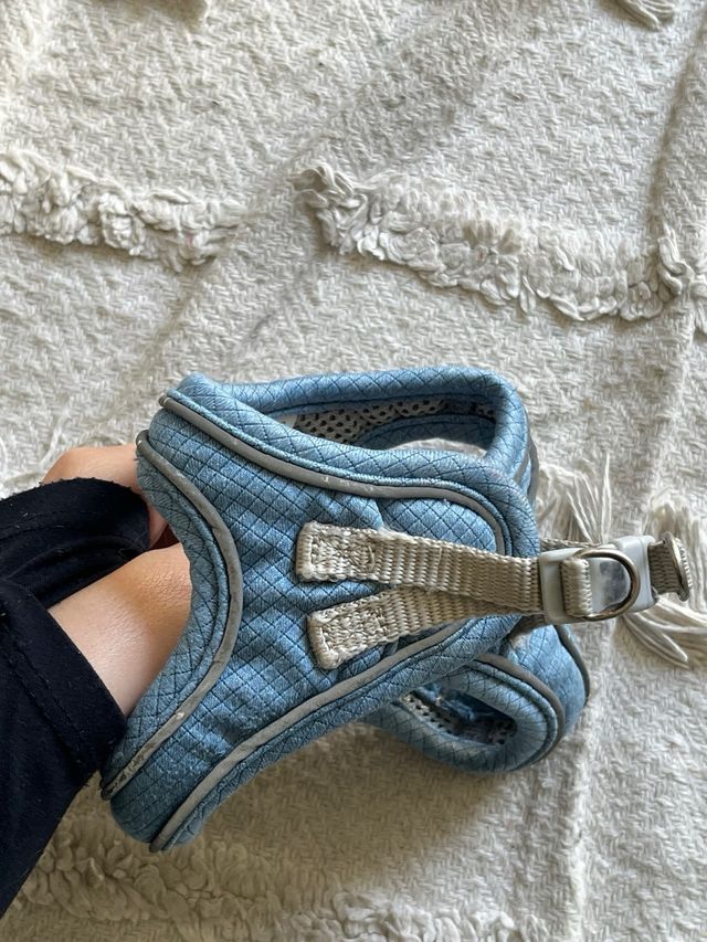 Arnés para perro FREEDOG azul