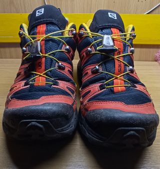 Salomon X-Ultra gtx. 