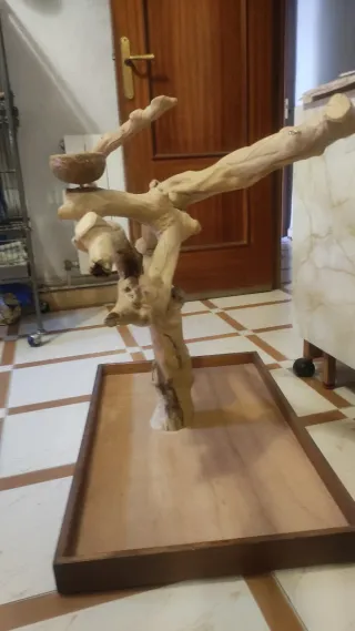 Tronco Árbol de Java para Loros.