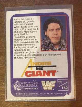 Carte WWF Merlin 1991 - 100 carte