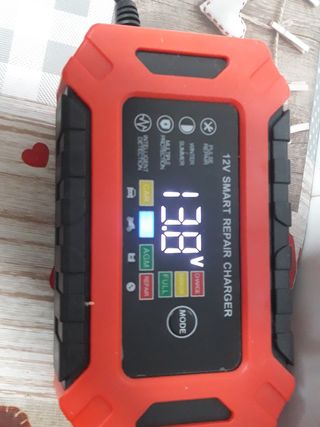 Cargador Batería Coche Moto 12V
