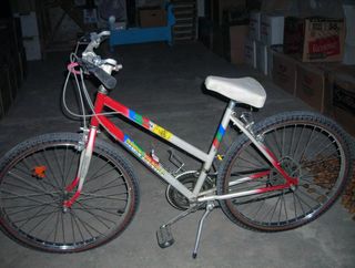 Bicicleta Montaña