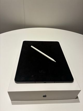 iPad Pro 12.9 M1 di quinta generazione
Apple Pencil di seconda generazione