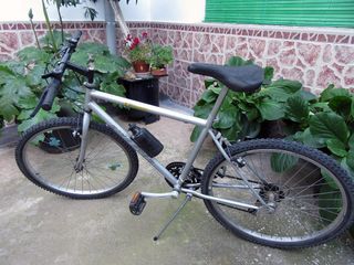 Bicicleta de montaña plateada