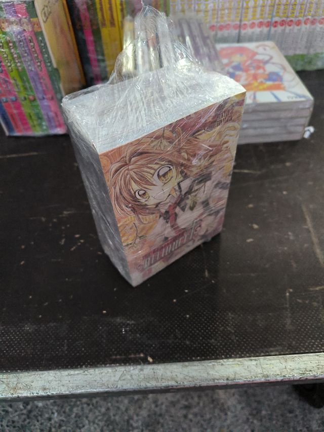 The gentlemen alliance completa