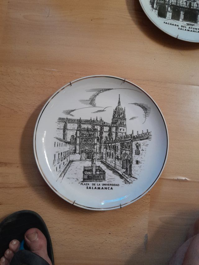 Lote 3 Platos Grandes y 6 Pequeños Salamanca