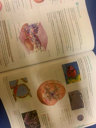 libro de 4 de la ESO en inglés en buen estado