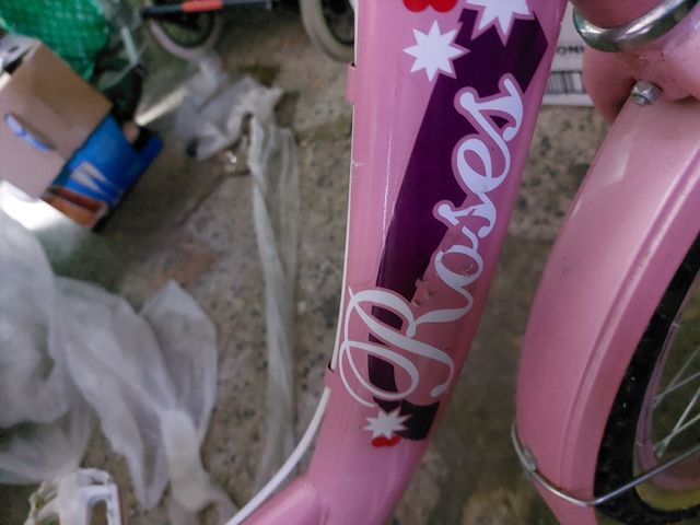 Bicicletta bambina 20x2.125