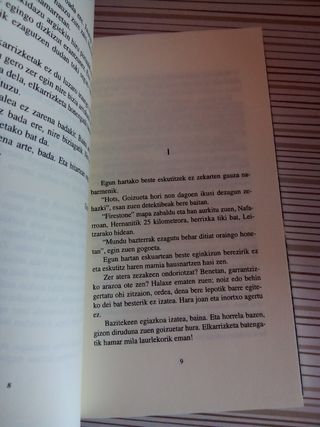 Libro Goizuetako ezkongaiak