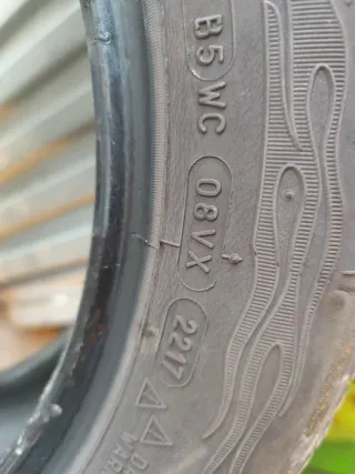 Dos Neumático 205/55R16 91V