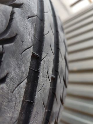 Dos Neumático 205/55R16 91V