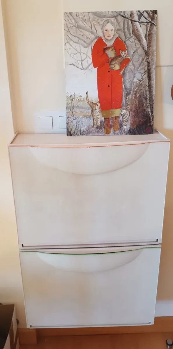 Dos zapateros colgantes de plástico