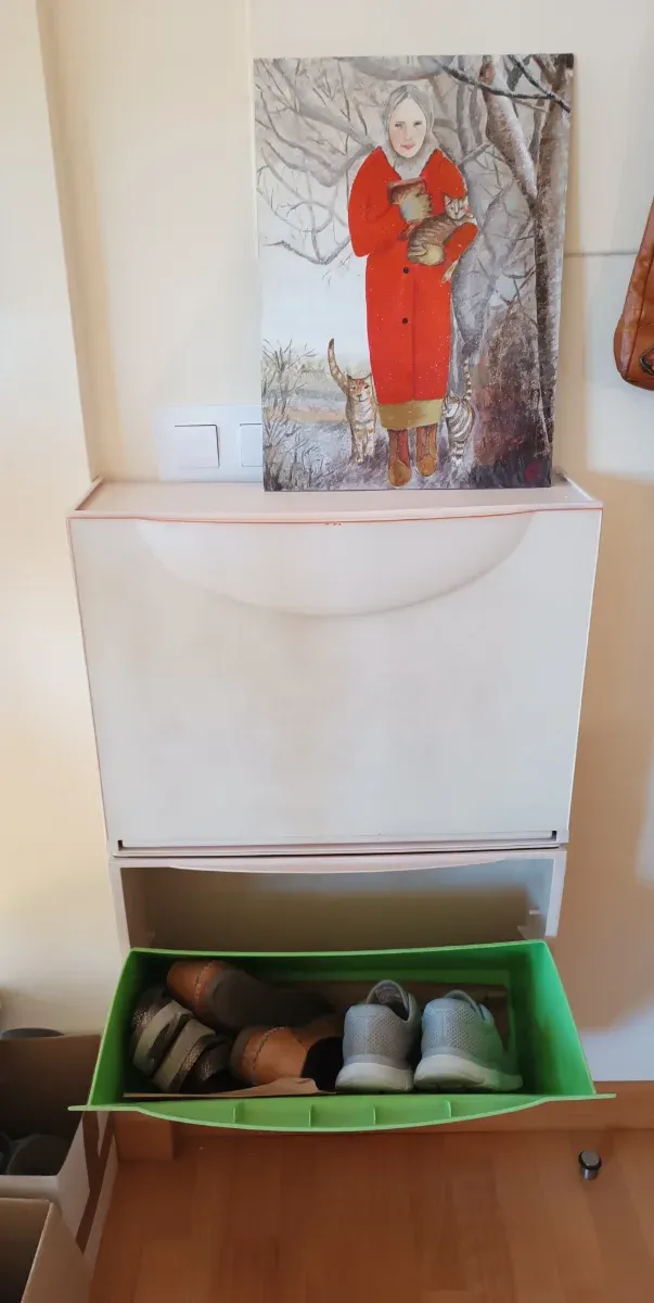 Dos zapateros colgantes de plástico