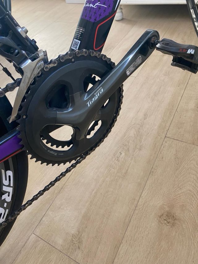 Bicicleta Liv Morada