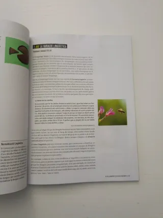 Llengua catalana i literatura 2n Secundària Lli...