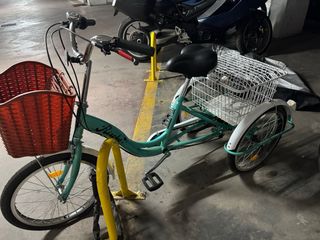 Triciclo con 2 cestas (delantera y trasera)