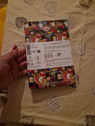 Quaderno Harry Potter