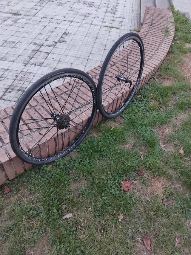 Ruedas Campagnolo Shamal Ultra