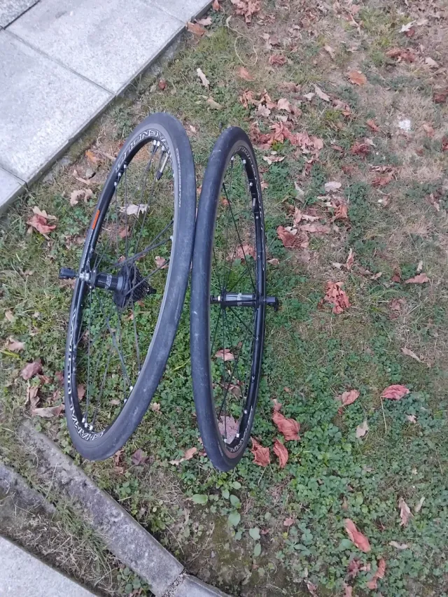 Ruedas Campagnolo Shamal Ultra