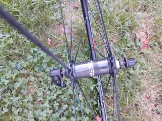 Ruedas Campagnolo Shamal Ultra