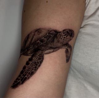 TATUADOR