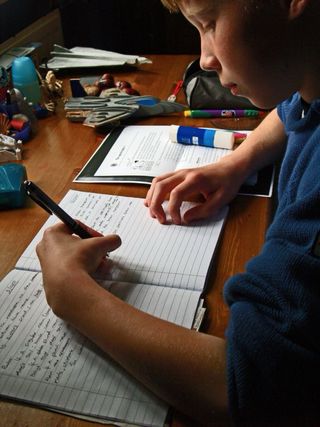 Profesora clases particulares Bilbao 15€