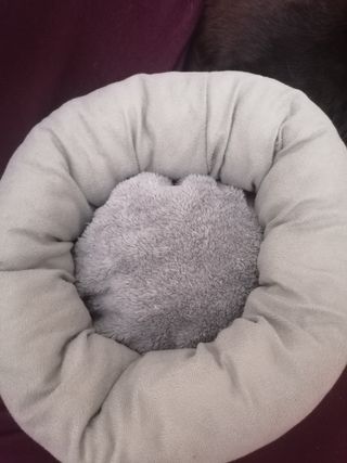 Camita para gatito marrón y gris. Sin gato.