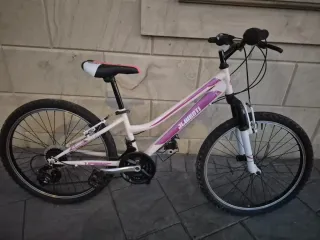 Bicicleta Montaña jlwenti
 Blanca y Morada