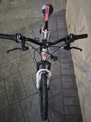 Bicicleta Montaña jlwenti
 Blanca y Morada