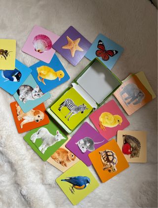 Conjunto Cartas Animais Bebé