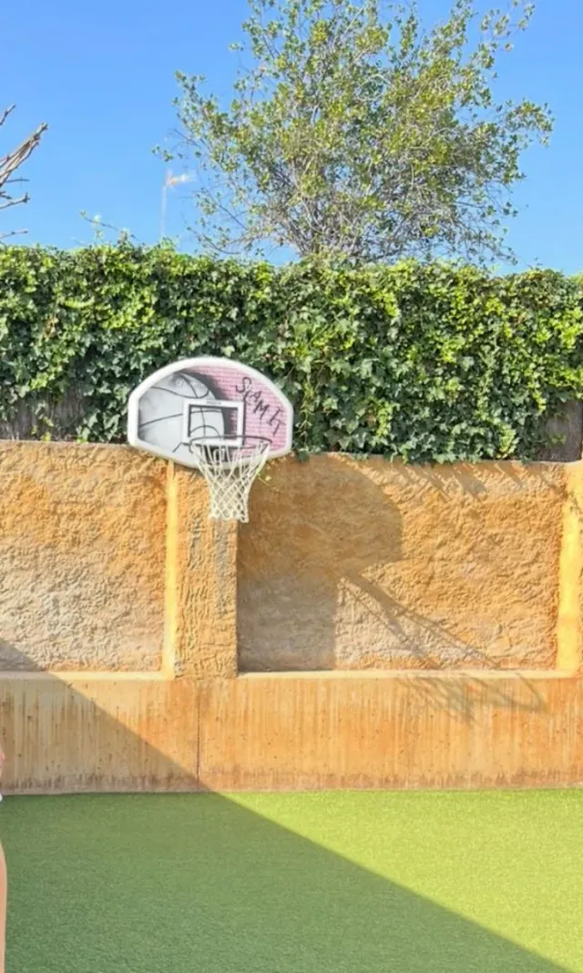 Canasta de baloncesto para jardín