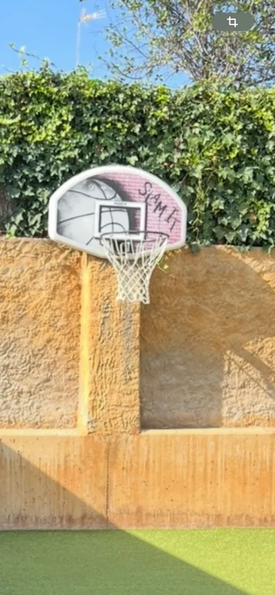 Canasta de baloncesto para jardín