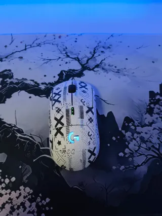 Ratón Inalámbrico Logitech G Pro Wireless