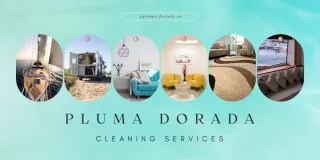 Limpiesa de tu sofa y meubles tapizados