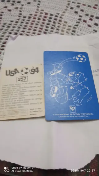 2 Cromos Maradona USA 94 buen estado